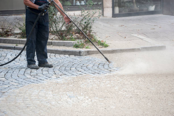 Best Pre-Holiday Cleaning  in Farwell, TX
